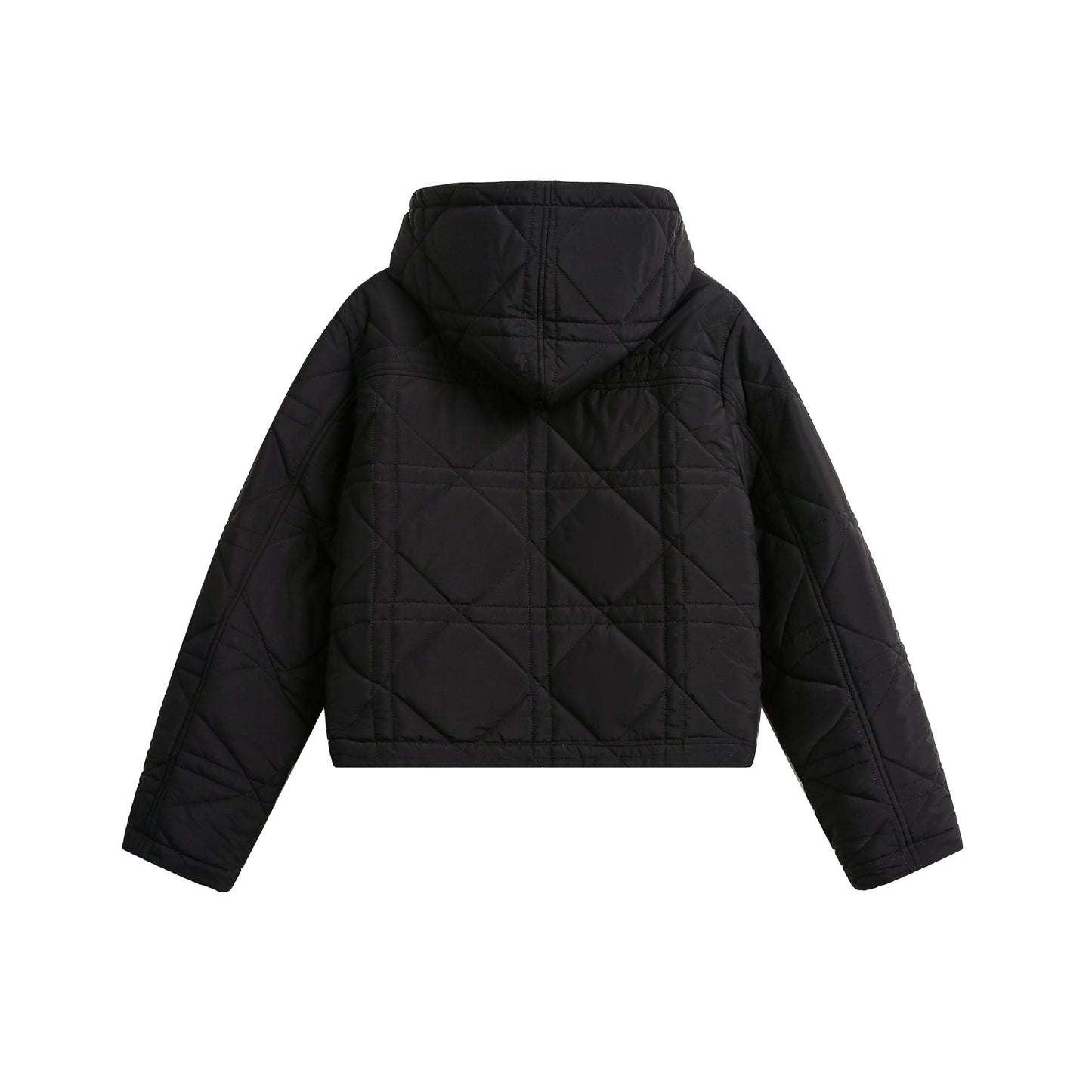 LORANTIS WILDFLARE CEKET